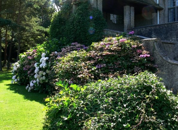 Bois des Moutiers  (45) Summer 2012